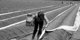Saisonarbeit in der Landwirtschaft